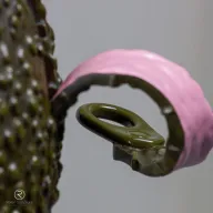 AVOCADO V2