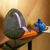 AVOCADO V2